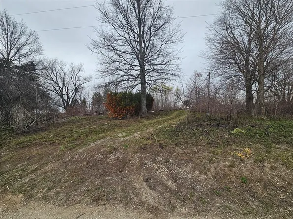 43618 E 224th St, Cowgill, MO 64637