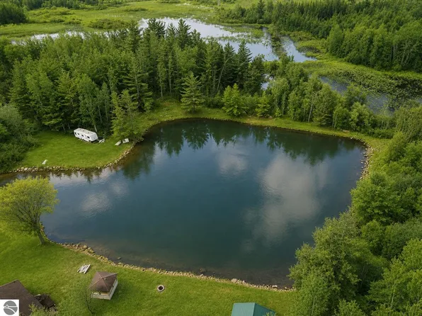 43 River Dr #46, Merritt, MI 49667