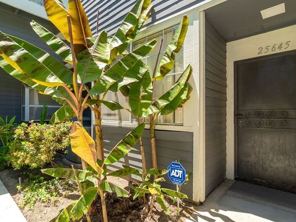 1st image of 25645 Pine Creek Ln