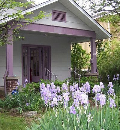 Flowering yard and fruit trees in spring