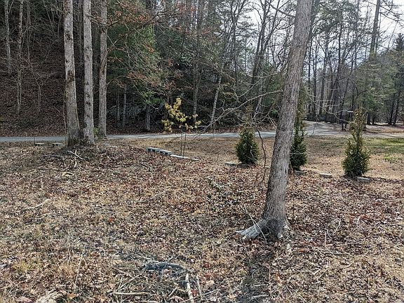 5th image of 8 Shallowford Ln