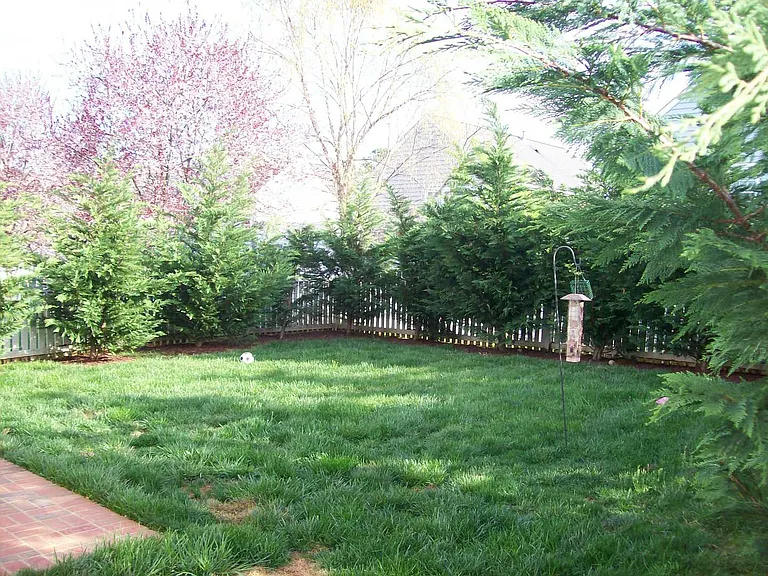 5024 Village Lawn Dr — Photo 15