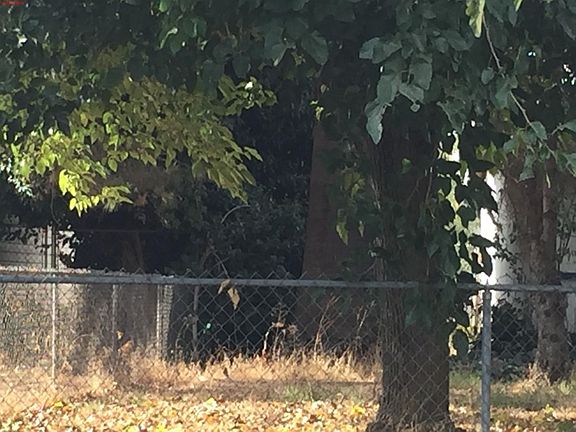 3rd image of 1850 Park Cir