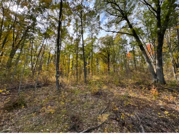 4331 N Gilda Rd, Branch, MI 49402