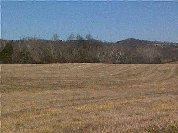 2nd image of 372 Jackson Rd