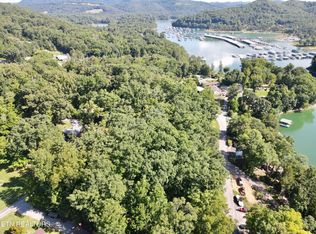 Cape Norris Rd #58, New Tazewell, TN 37825
