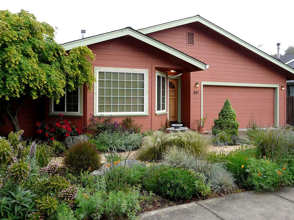 Native plant landscaping