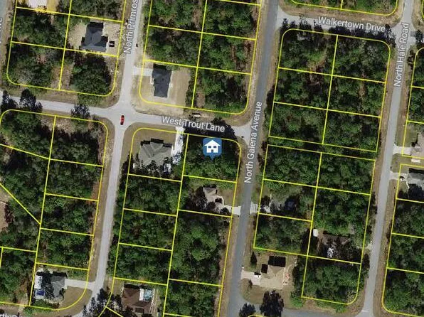 7970 N Galena Ave, Citrus Springs, FL 34434