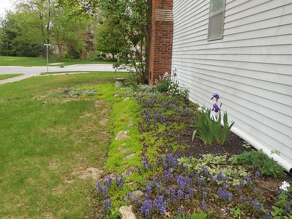 5th image of 417 Michael Ave