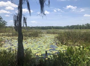 115 Diamond Lake Dr, Crescent City, FL 32112