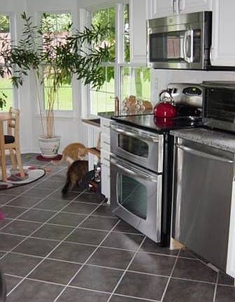 2nd image of 66 Vista Cir #37C