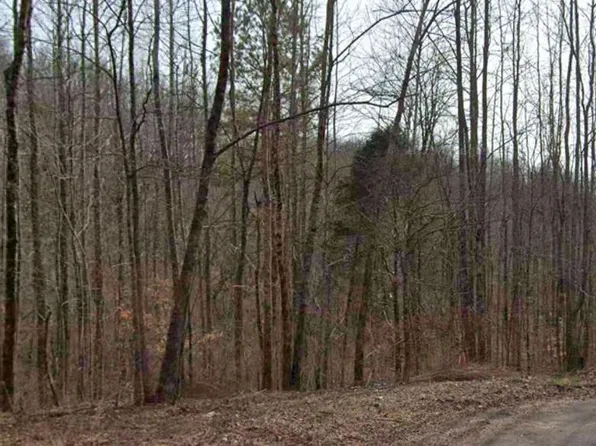 0 Heritage Creek Dr #15, Springville, AL 35146