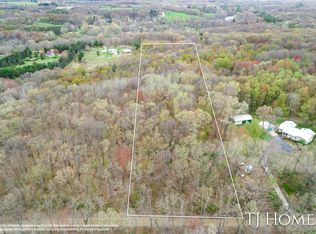 0 Ingalls Rd, Belding, MI 48809