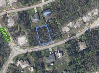 327 HOOVER AVENUE NE LOT 3, LAKE PLACID, FL 33852