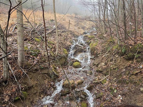 4th image of 3101 W Teter Creek Rd