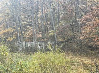 100 Drakes Run Rd, Mannington, WV 26582