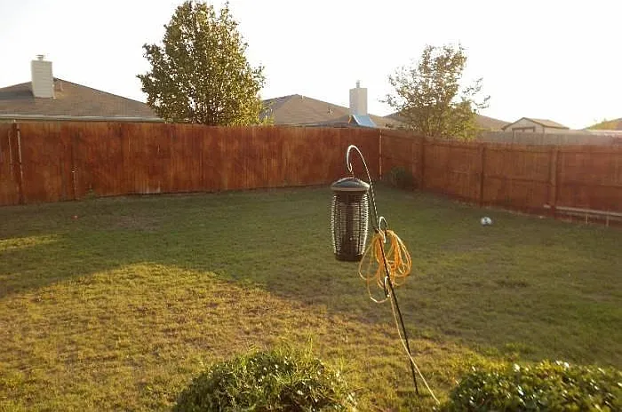 yard