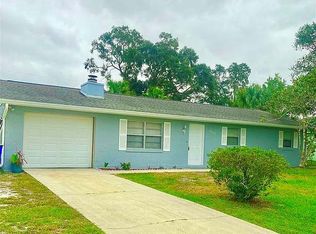 2413 Umbrella Tree Dr, Edgewater, FL 32141