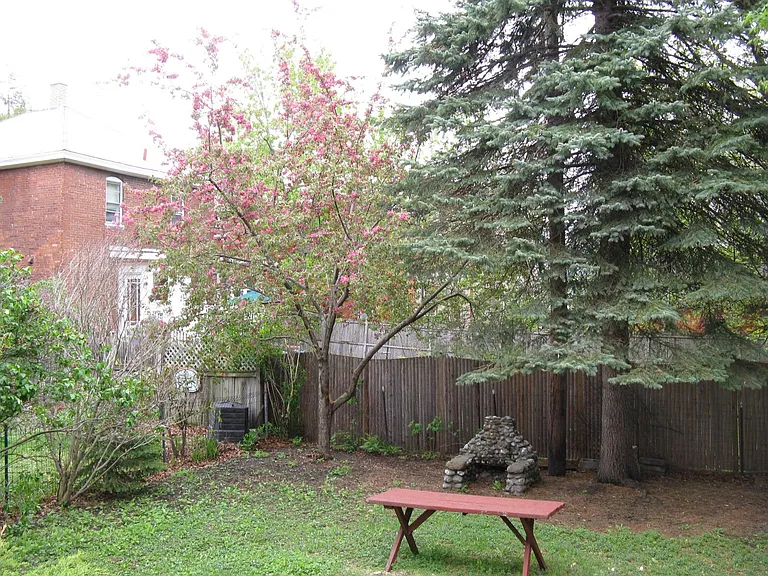 back yard