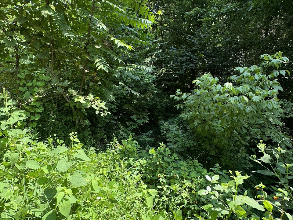 342 Omer Short Rd, Moss, TN 38575 Zillow