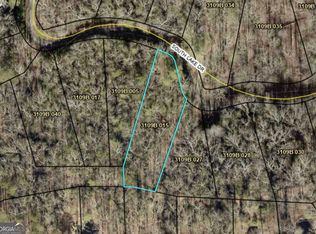 0 S Lake Dr, Ellijay, GA 30536