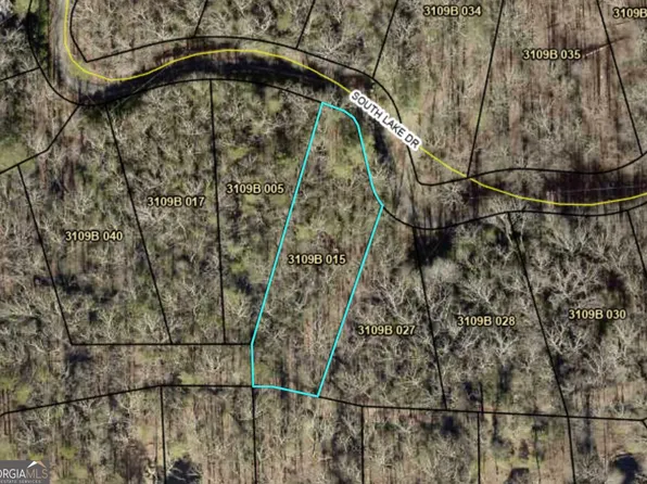 0 S Lake Dr, Ellijay, GA 30536