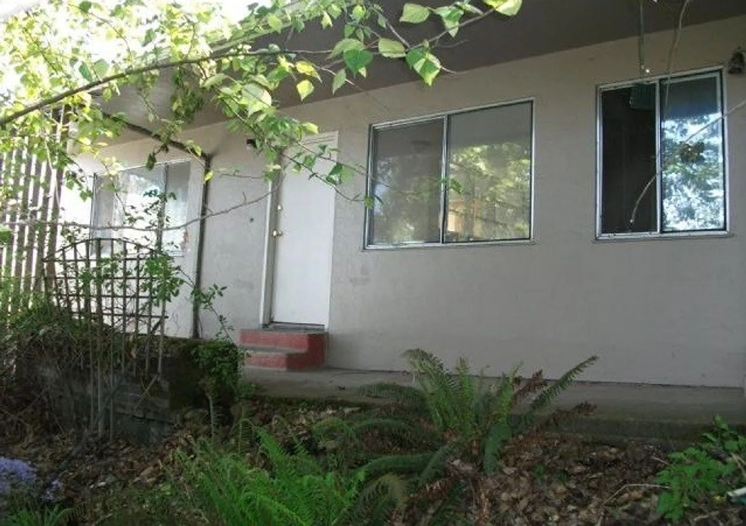 wita09 — Photo 2