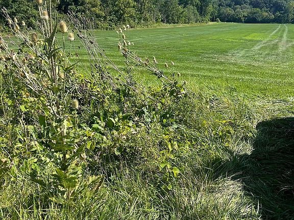 2nd image of 0 Pennsylvania Rd