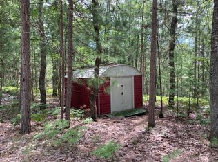 15293 Gooseberry Rd, Wolverine, MI 49799