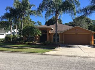 24105 Painter Dr, Land O Lakes, FL 34639
