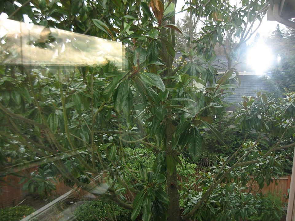2nd image of 0 Undisclosed