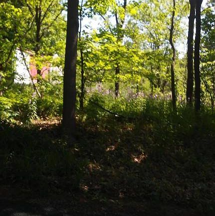 3rd image of 59323 76th Ave