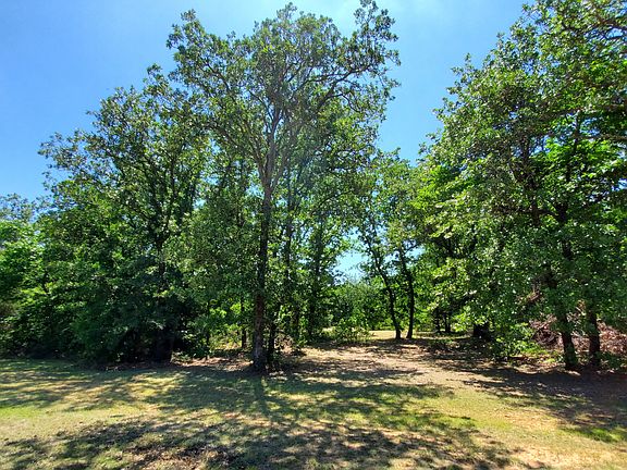 Lot 7 mid-May