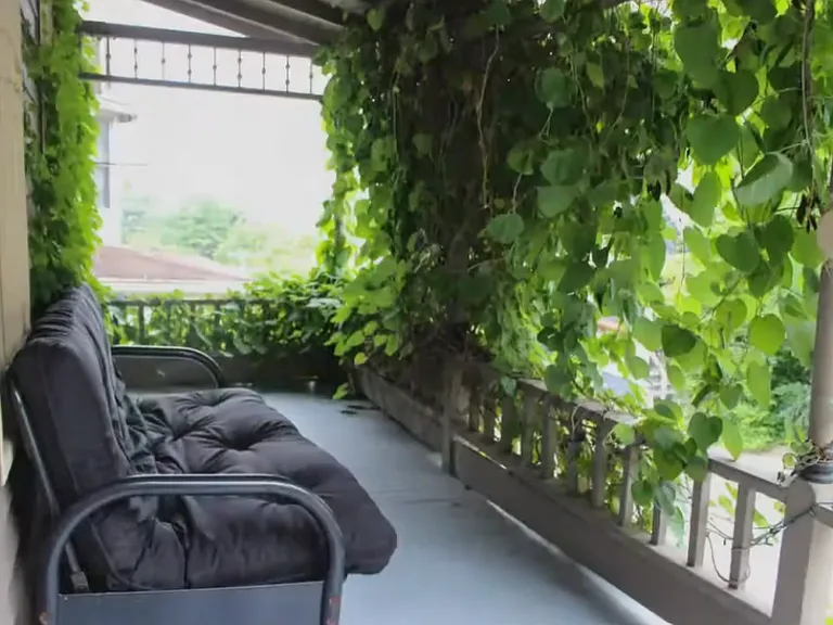 207 Williams St #1 — Photo 9