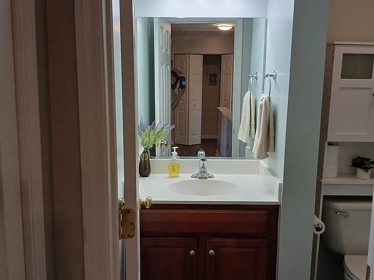 74 Old Salem Ct — Photo 9