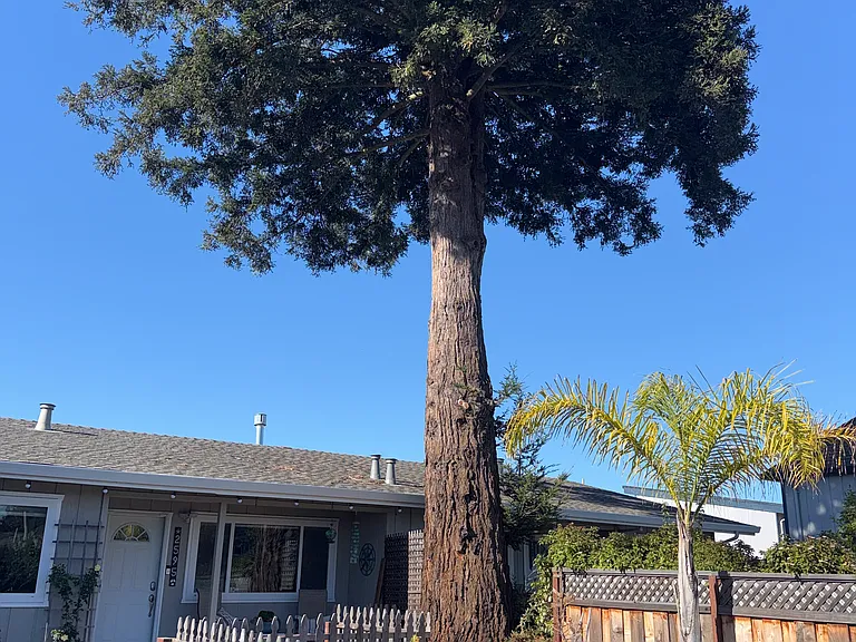 2595 La Paloma Ln — Photo 25