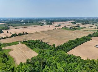 290 Mulligan Rd, Brant, ON N3W 2G9