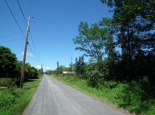 13th Ave LOT 1207, Keaau, HI 96749