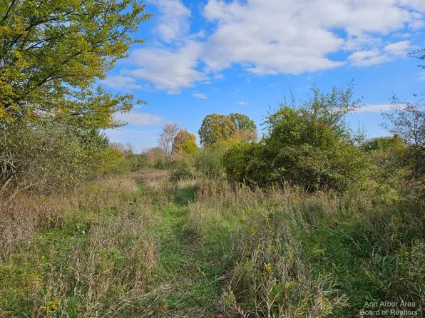 0 Conway Rd Parcel D, Chelsea, MI 48118