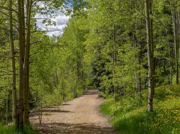 Dolores River Trl #6, Rico, CO 81332