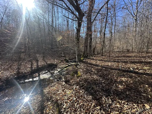 0 Rack Clayton Rd, Hohenwald, TN 38462