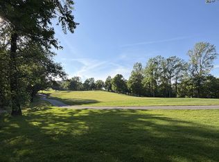 103 May Apple Way, Landrum, SC 29356