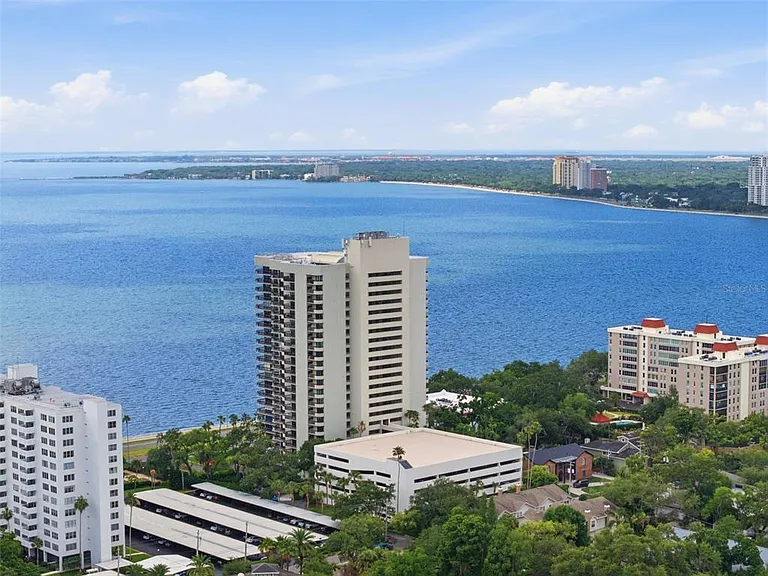 2413 Bayshore Blvd #1004 — Photo 46