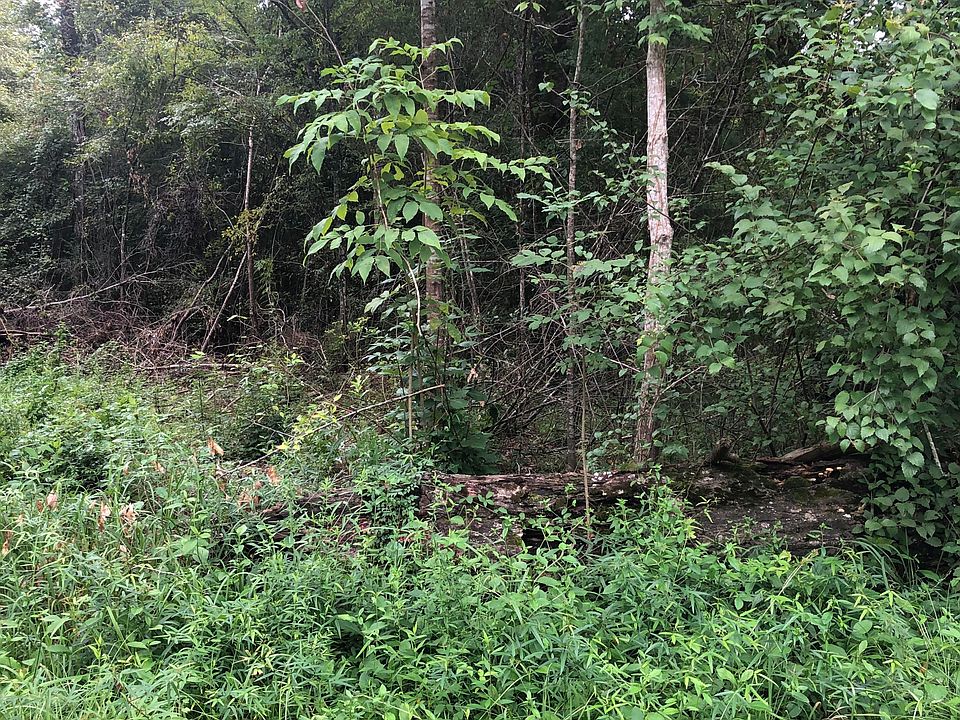 2nd image of 0 Pascagoula River Rd