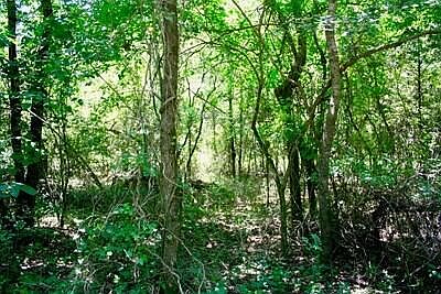 3rd image of County Road 3503