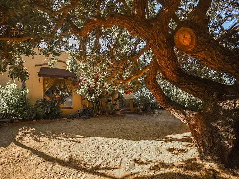 Front yard
