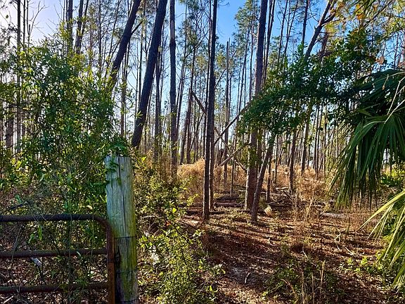 3rd image of 123 NW Longitude Rd