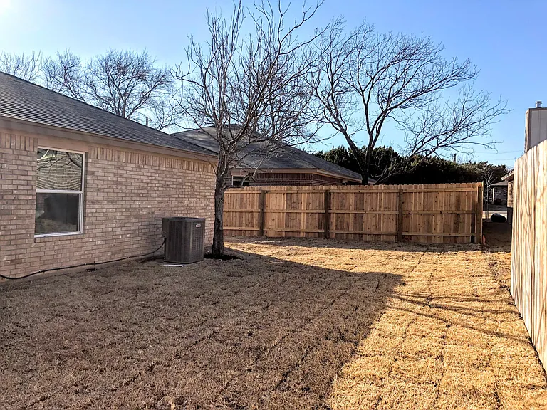 Back Yard