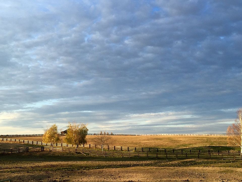 Country views