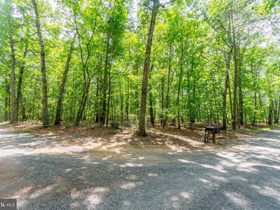 0 Big H Ranch Rd, Culpeper, VA, 22701